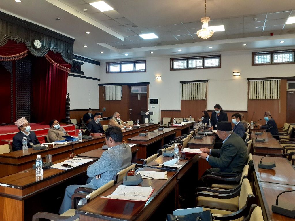 संसदीय सुनुवाइ समिति बैठकमा सांसदले भने- राजदूत नियुक्तिमा समावेशी भएन