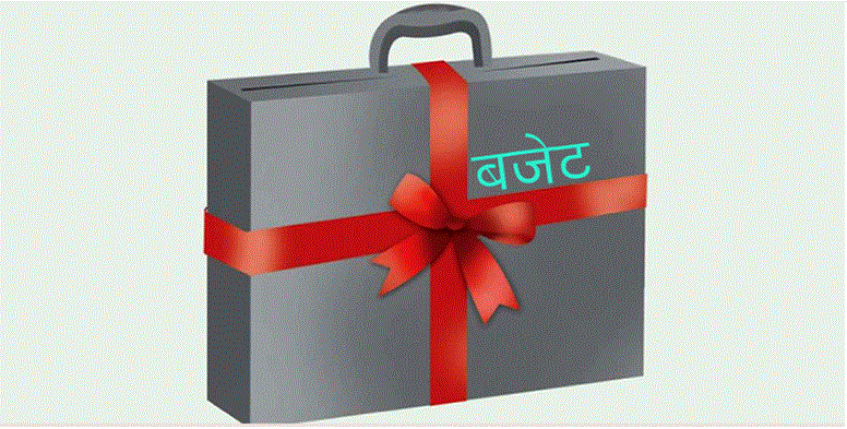 देशभरका स्थानीय तहले आज बजेट ल्याउँदै