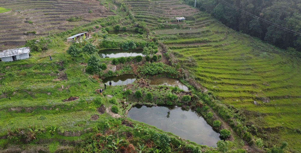 विदेशबाट फर्केर माछापालनमा रमाएका भोजपुरका ‘कमल’