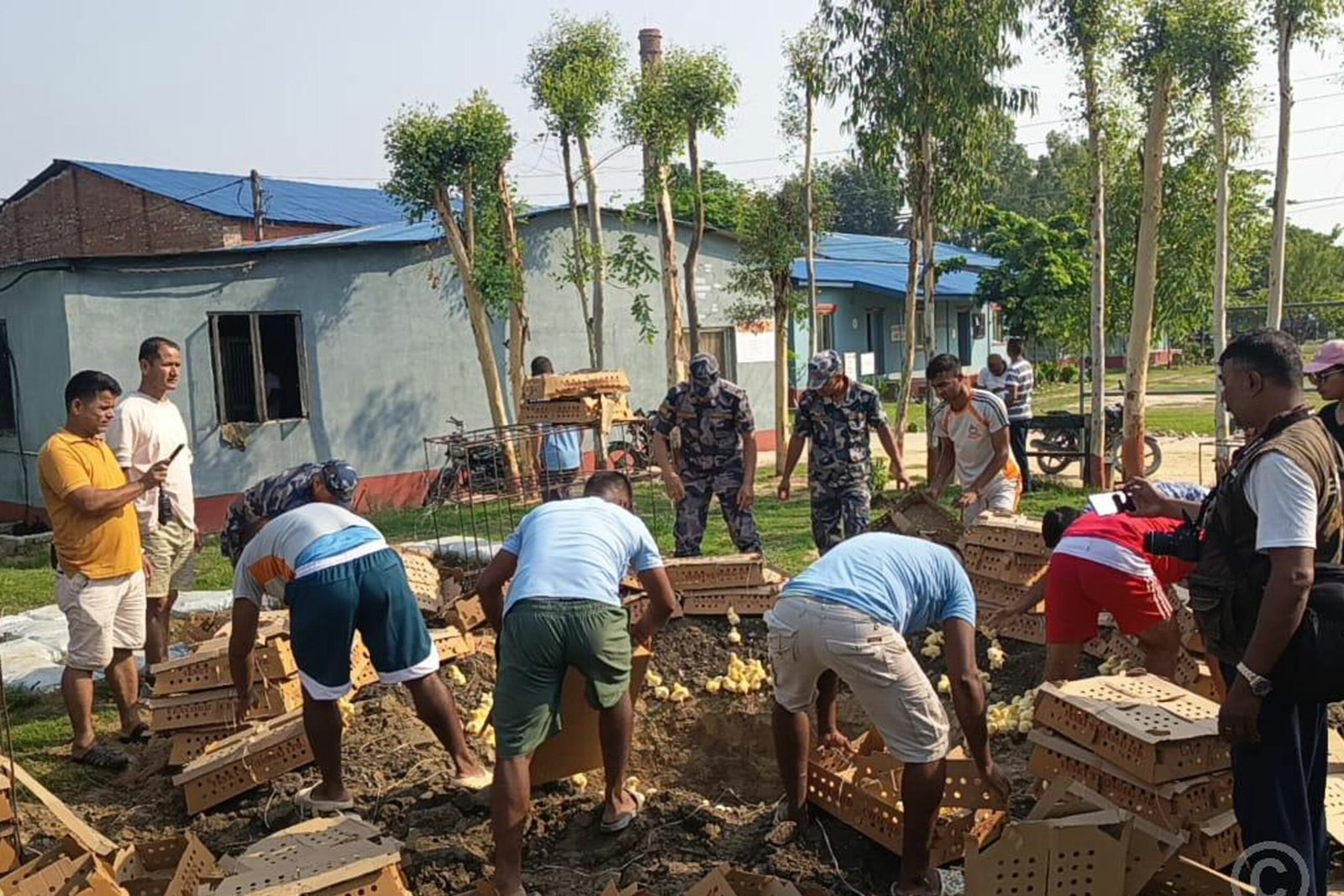 सशस्त्र प्रहरीद्वारा कुखुराका चल्ला बरामद