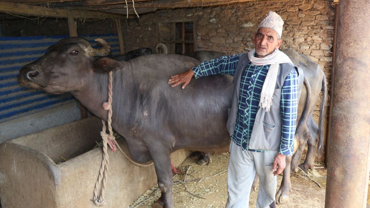 दूध र मह बिक्रीबाट मनग्य आम्दानी