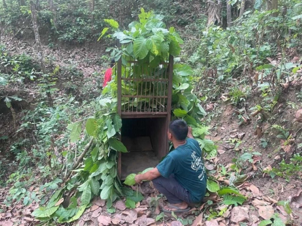 नरभक्षी चितुवा अझै आएन नियन्त्रणमा