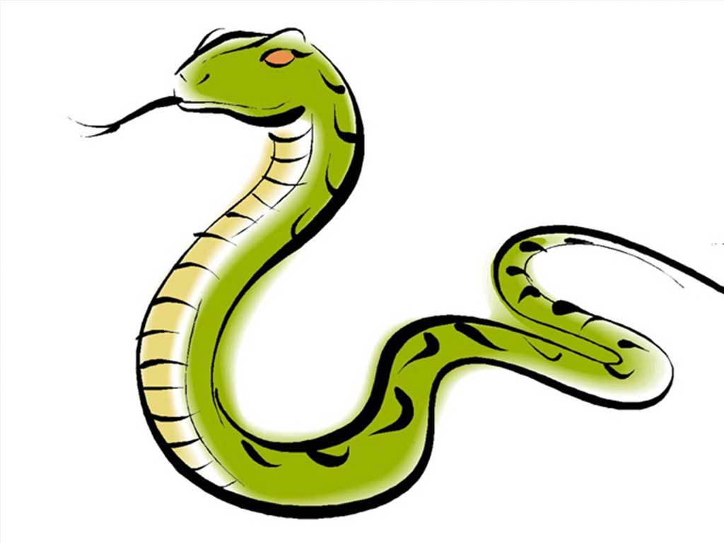 सर्पको डसाइबाट महिलाको मृत्यु