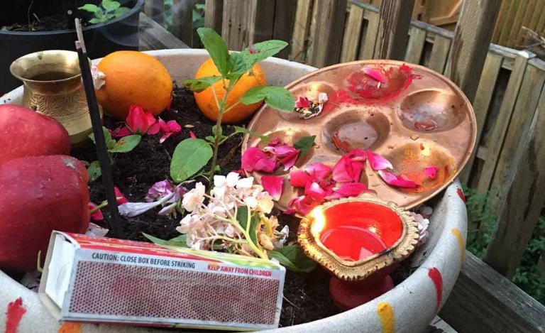 आषाढ शुक्ल एकादशी : तुलसी रोपण र विष्णु पूजाको विशेष दिन