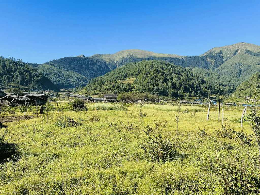 बागलुङ र पर्वतमा चक्लाबन्दी गरेर व्यावसायिक फलफूल खेती