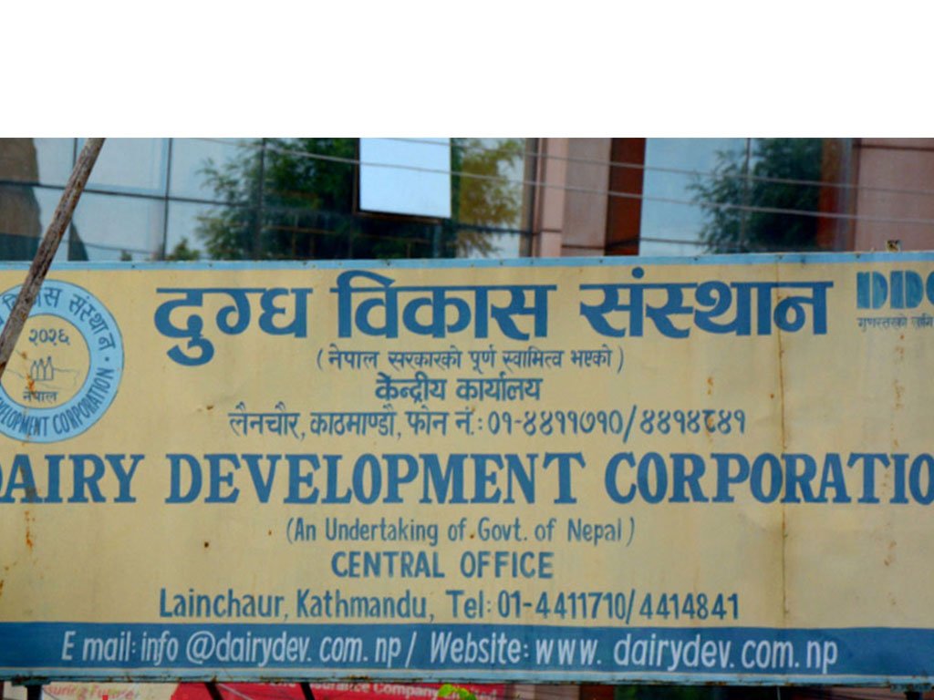 दुग्ध विकास संस्थानको महाप्रबन्धक पदमा दरखास्त आह्वान