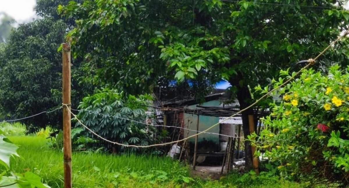 हात्ती धपाउन जोखिम मोलेर विद्युतीय घेराबारा