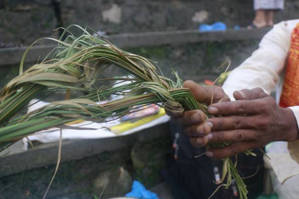 आज कुशे औंसी, घर–घरमा कुश भित्र्याइँदै