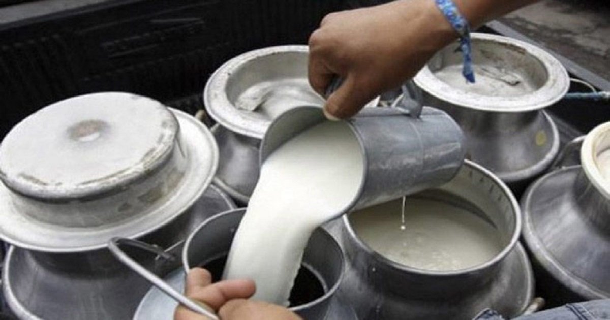 दूध उत्पादनमा प्रोत्साहनका लागि नगद अनुदान