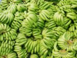 नेपाली केराले नै दसैँ, तिहार र छठ धान्ने, आयात नगर्न अनुरोध
