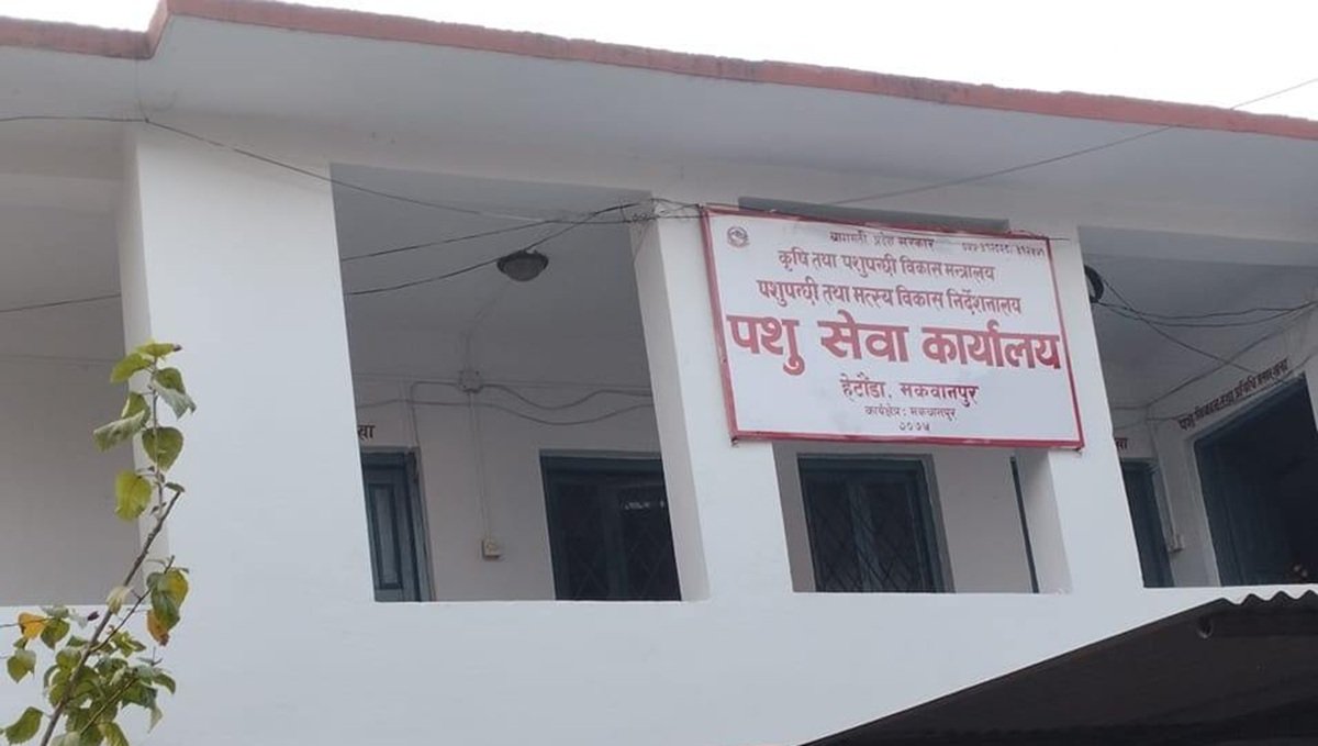 पशु चौपायामा फैलिएको खोरेत रोग नियन्त्रणमा
