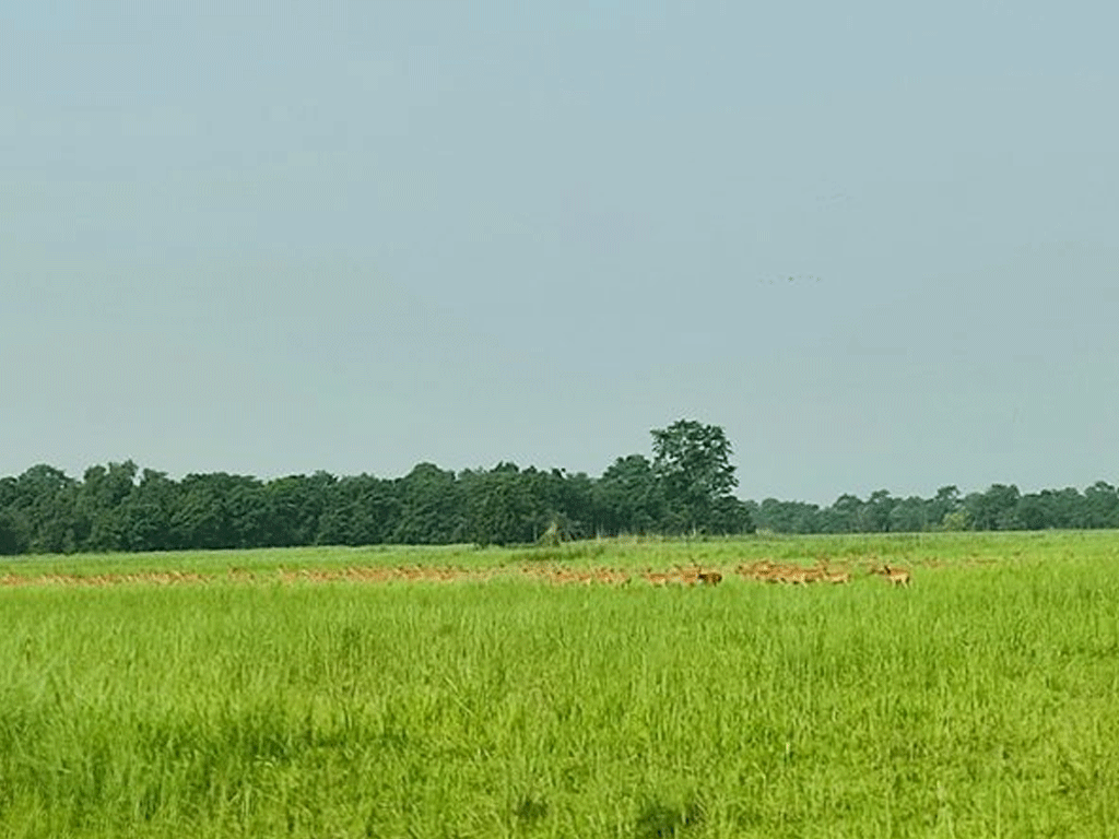 प्रचारप्रसार नहुँदा ओझेलमा शुक्लाफाँटा