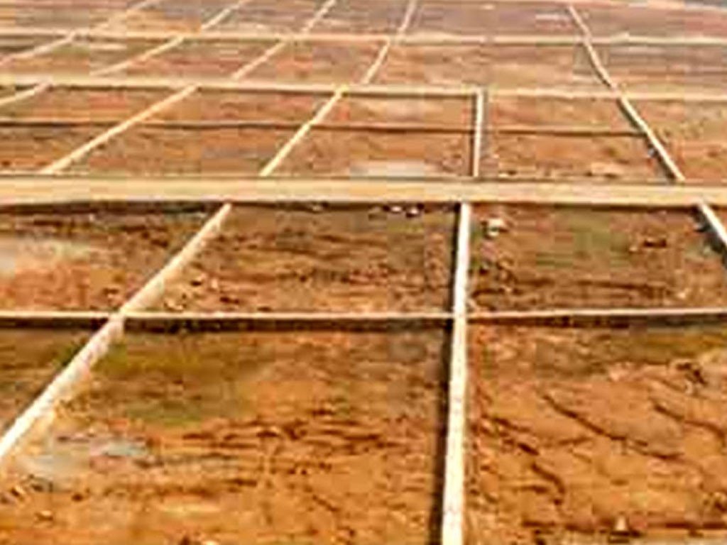 ३ करोडभन्दा धेरैको घरजग्गा कारोबार गर्ने कम्पनीको ‘लाइसेन्स’ खुला