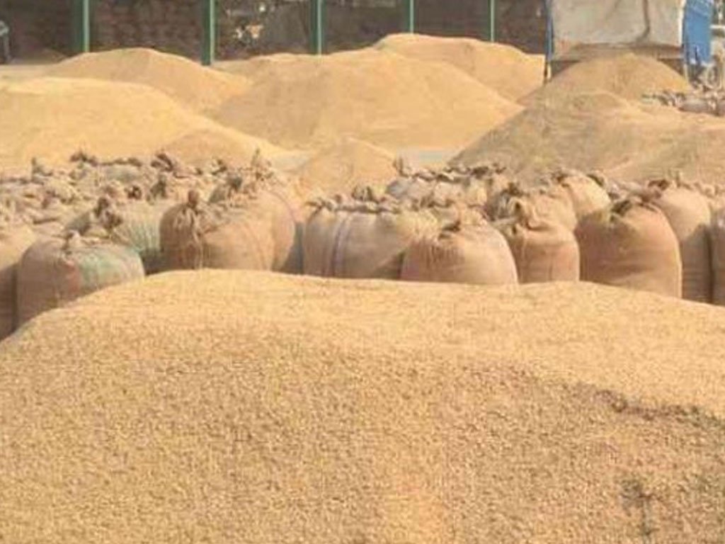 मंगलबारदेखि धान खरिद गर्दै खाद्य व्यवस्था तथा व्यापार कम्पनी