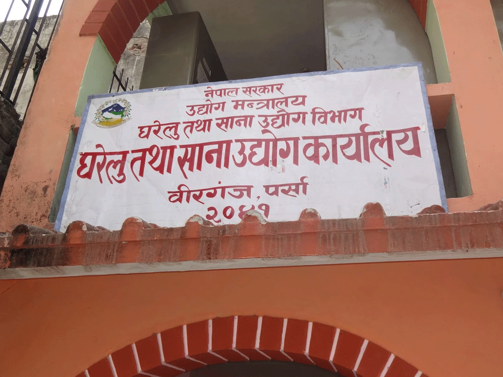 पर्सामा महिलाको नाममा तीन सय ६३ घरेलु उद्योग सञ्चालन