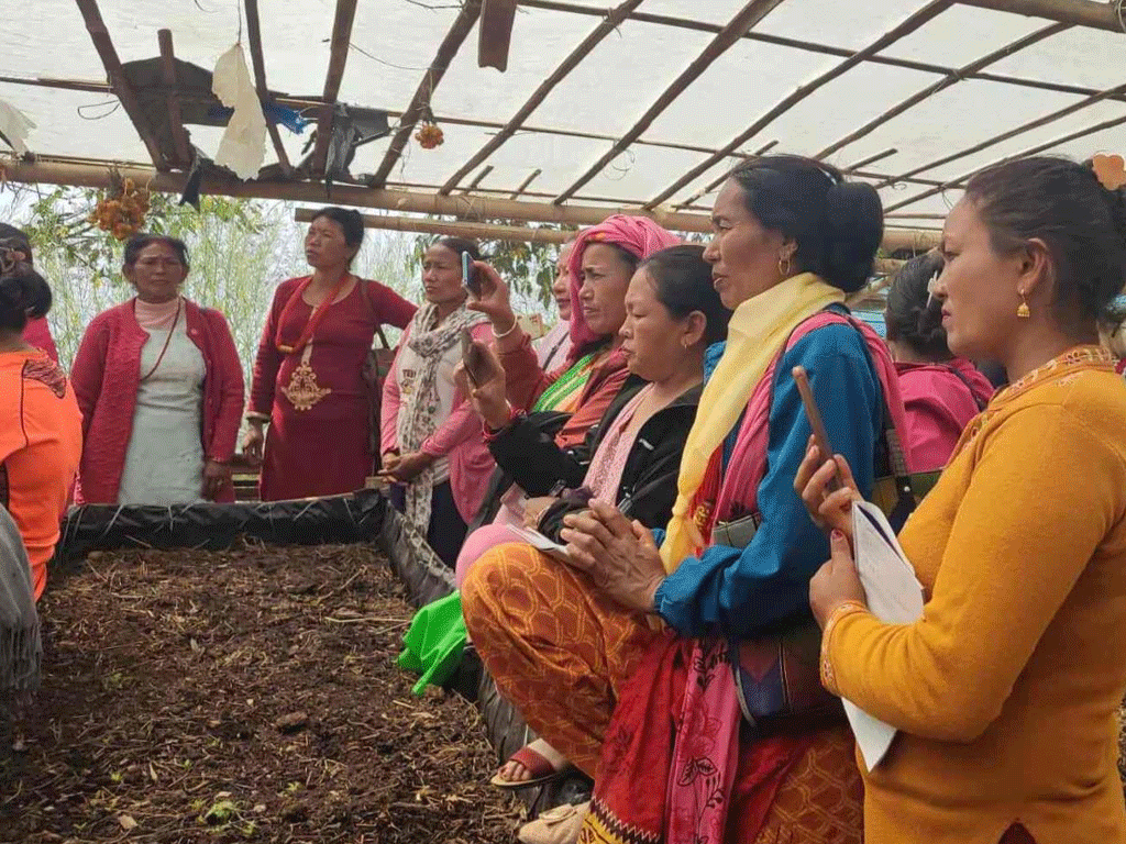 जैविकखेती प्रवर्द्धन गर्न गड्यौला मल उत्पादनमा जोड दिँदै पौवादुङमा