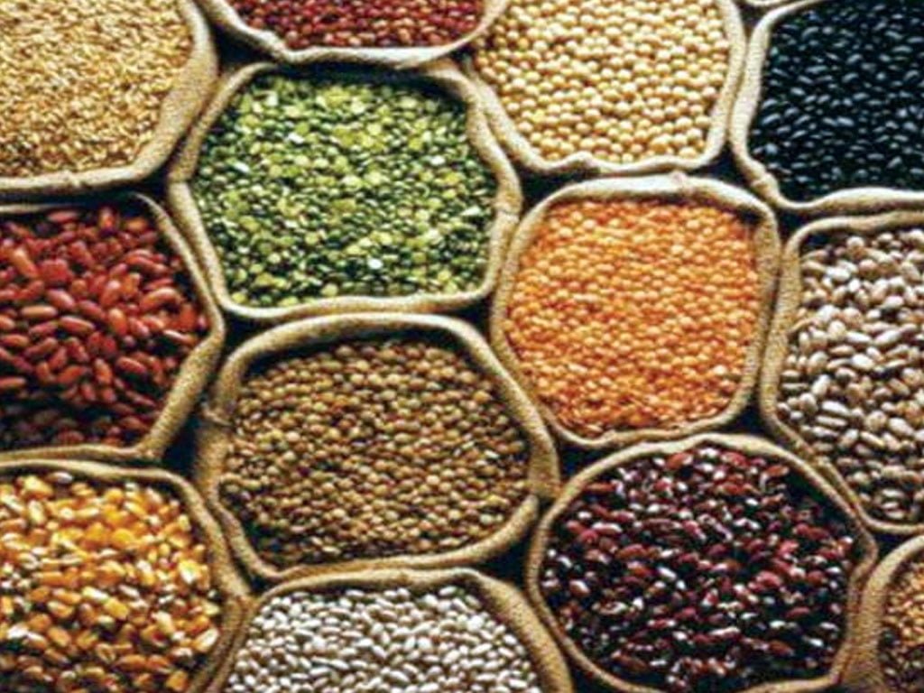 आज ४५औँ विश्व खाद्य दिवस मनाइँदै