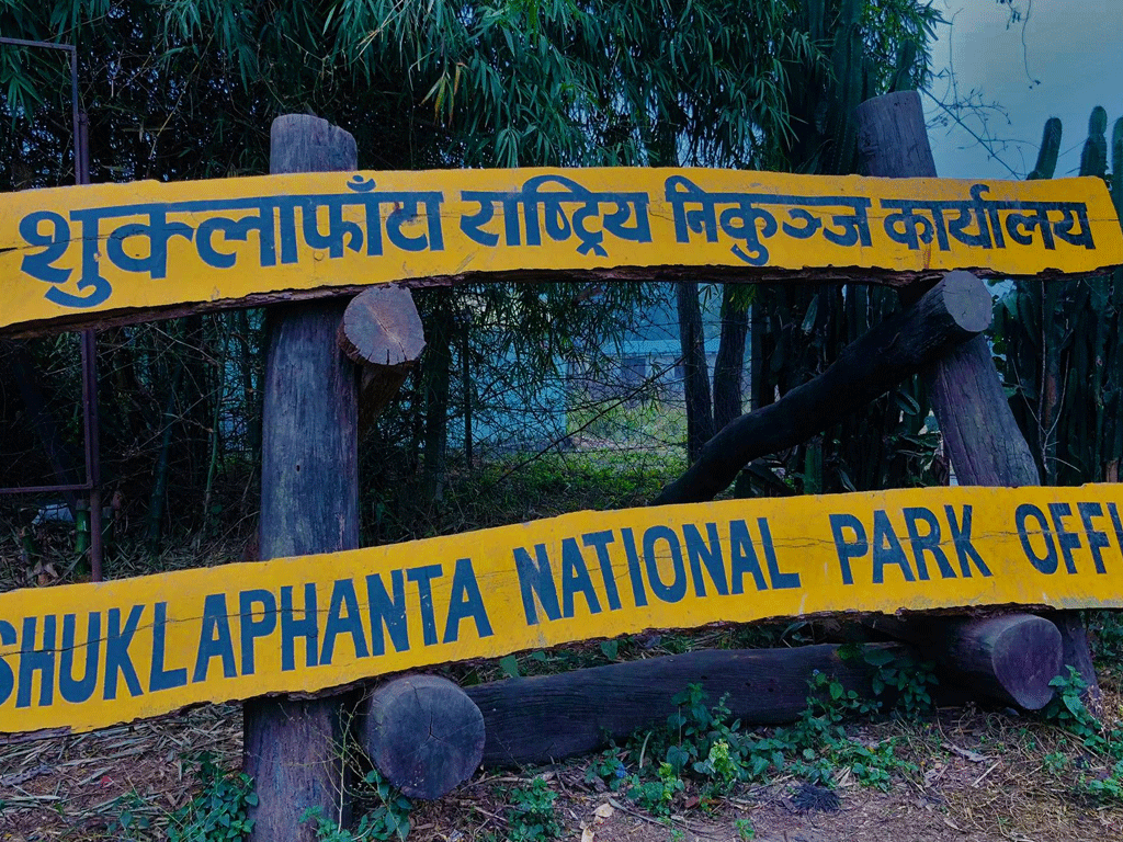 खुल्यो शुक्लाफाँटा निकुञ्जमा सफारी