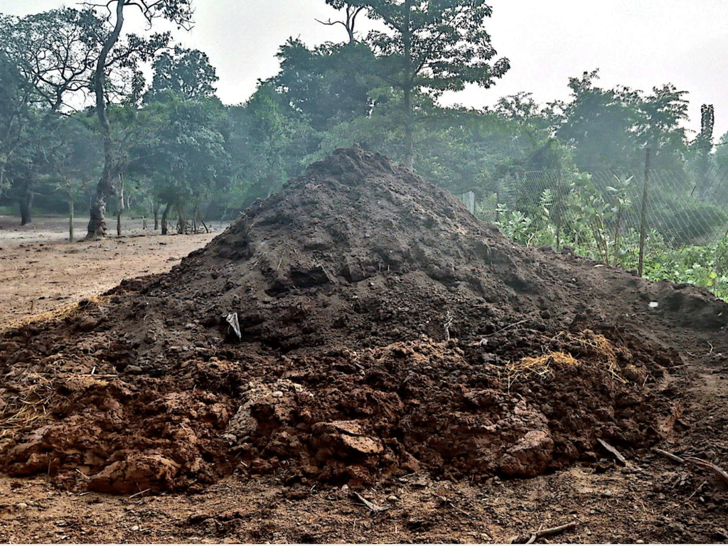 प्राङ्गारिक मलको प्रयोगले माटोको उर्वराशक्ति बढ्यो