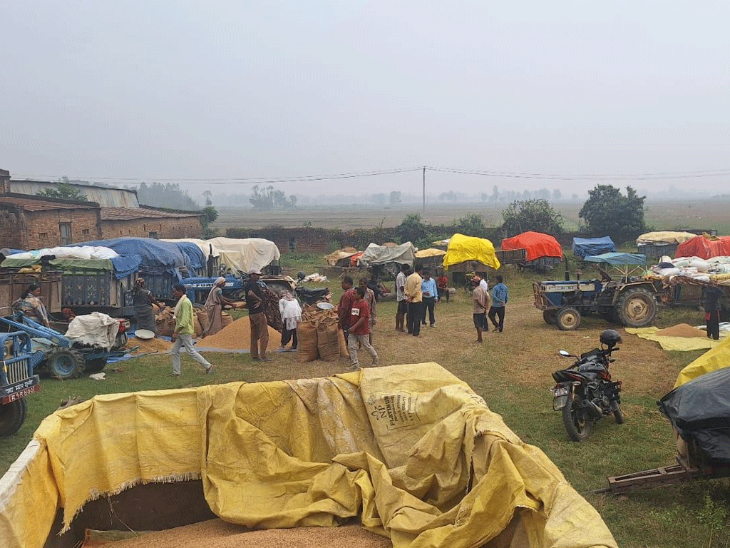 धान बेच्न किसान रातभर लाइनमा, सरकारी खरिद केन्द्रमा भीड