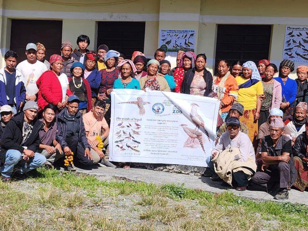 धवलागिरिमा दुर्लभ पन्छी चिरकालिज भेटिएपछि संरक्षण अभियान