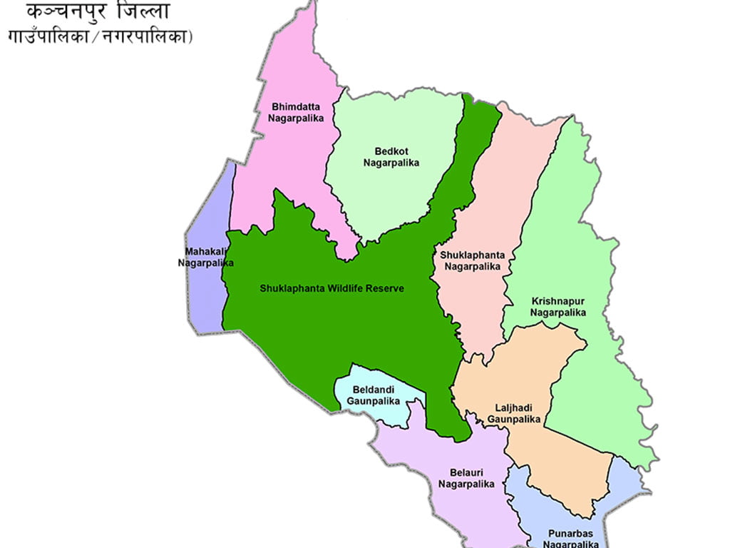 कञ्चनपुरका नौ वटै स्थानीय तह ‘कृषि पकेट क्षेत्र’