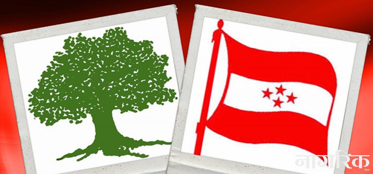 काँग्रेस पाल्पाबाट २१ उम्मेदवार सिफारिस