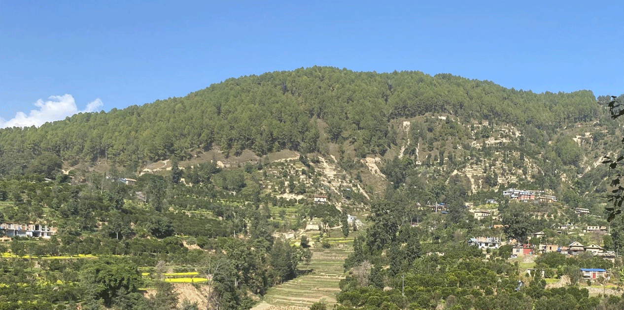 काभ्रेमा कृषि-पर्यटन प्रवर्द्धनार्थ ‘सुन्तला-हाइकिङ’