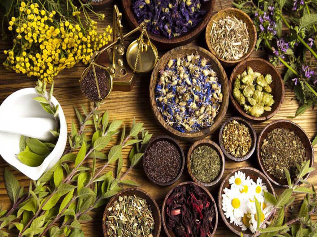 जडीबुटीमा किसानलाई आकर्षित गर्दै प्रशोधन केन्द्र