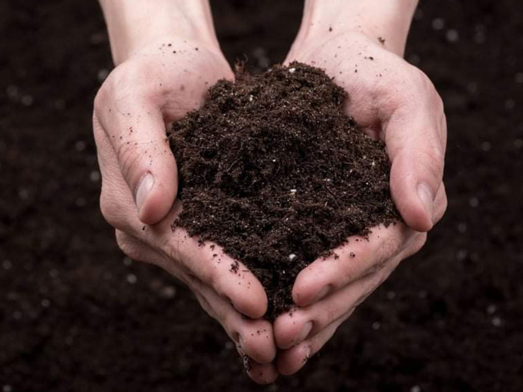 आज विश्व माटो दिवस मनाइँदै