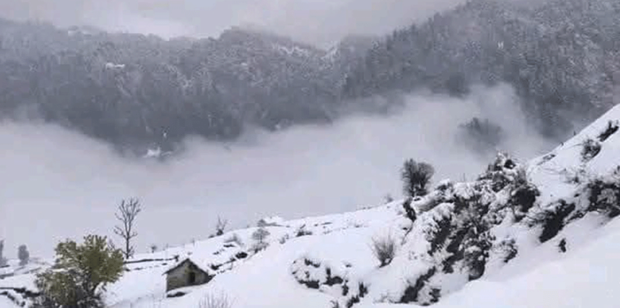 बाजुराका उच्च भू-भागमा हिमपात, दैनिक गतिविधि प्रभावित तर कृषि क्षेत्रमा सकारात्मक संकेत