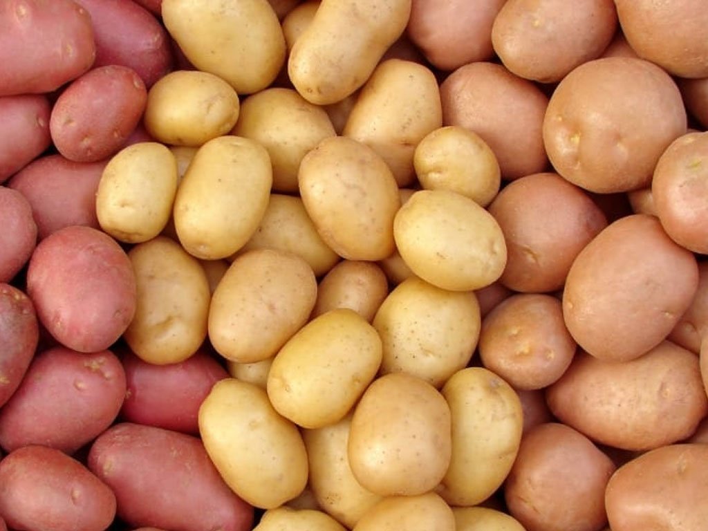 ‘आलु बिक्री गर्न बजारको समस्या छैन’