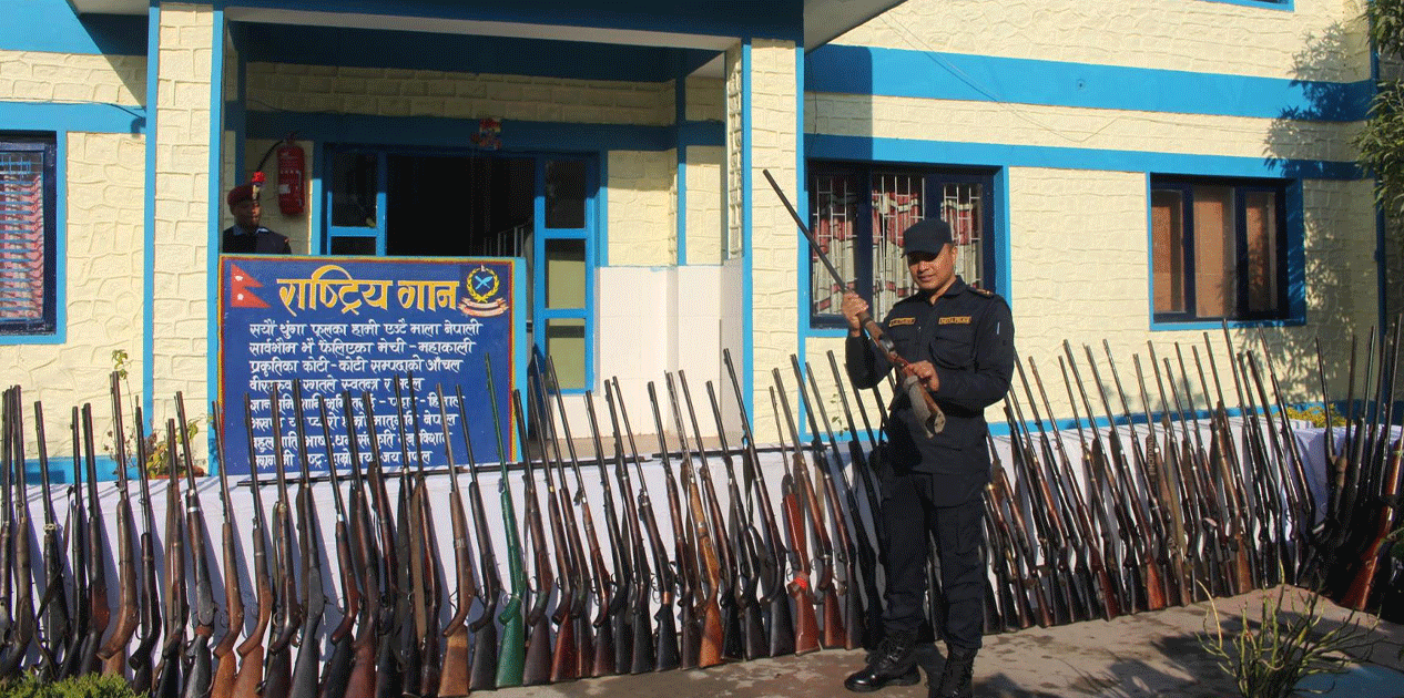 म्याग्दीमा एक सय १५ थान बन्दुक बरामद