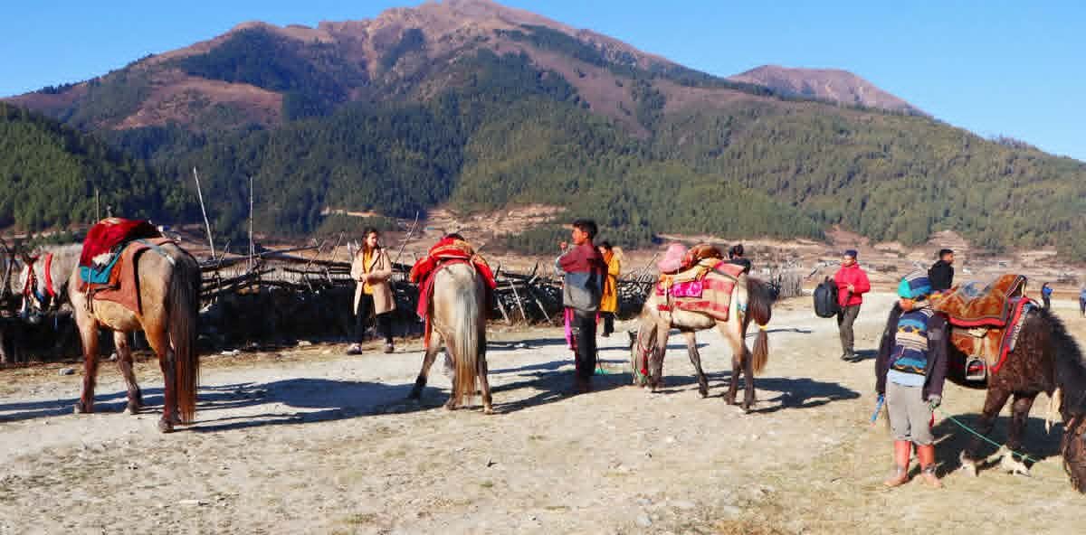 चिसो बढे पनि ढोरपाटनमा घटेन पर्यटकको चहलपहल