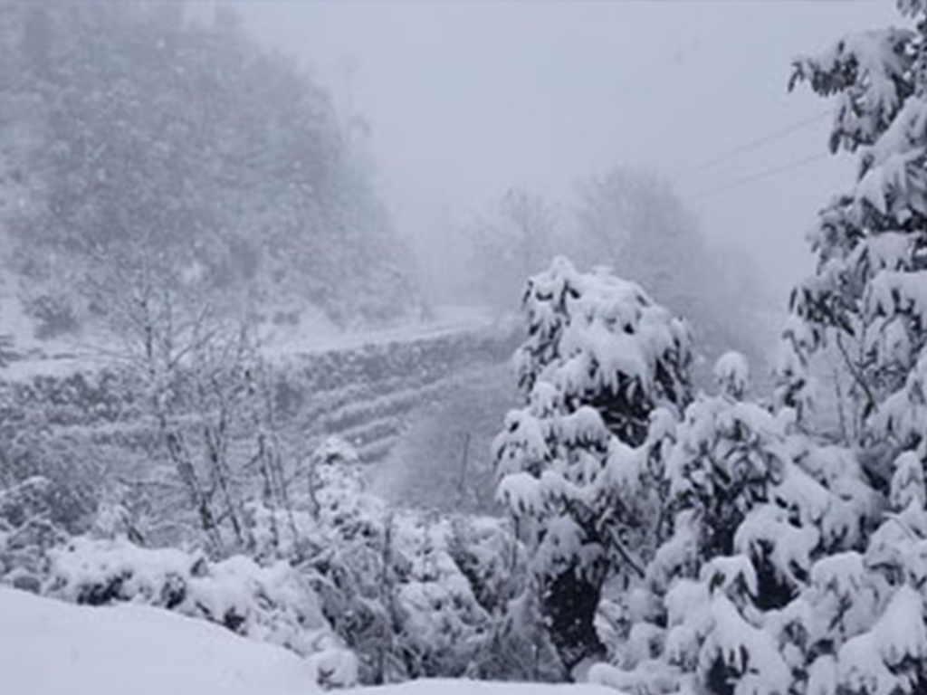 सुदूर पहाडमा हिमपात