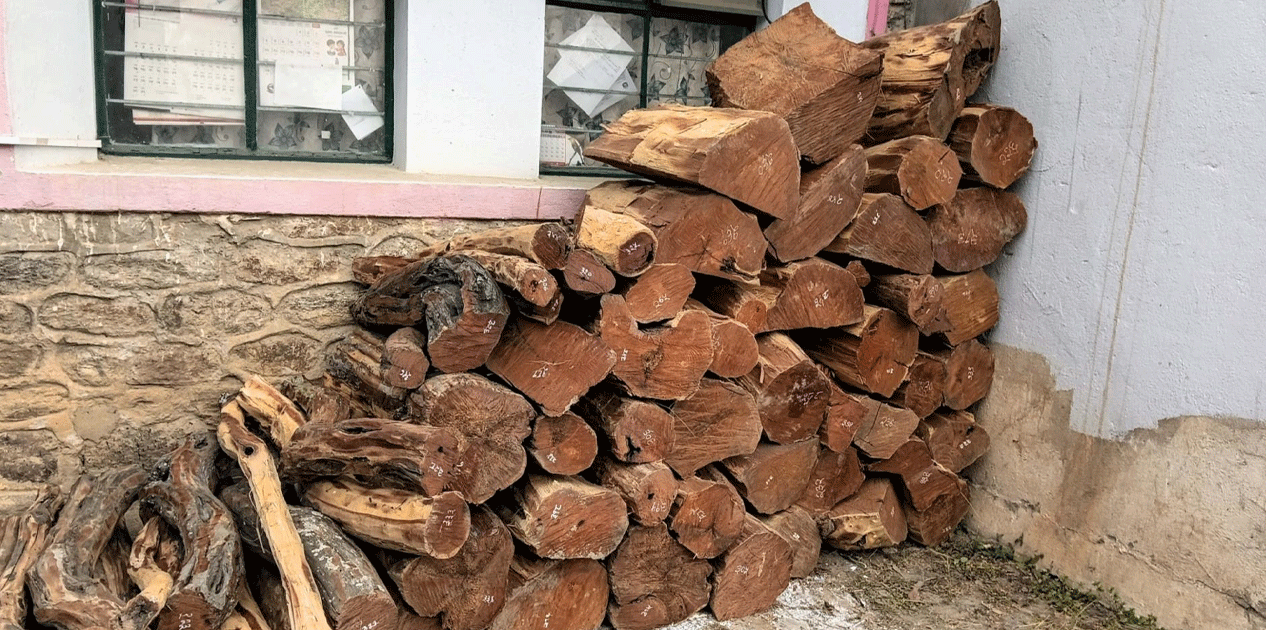 वन कार्यालयद्वारा काठ बरामद