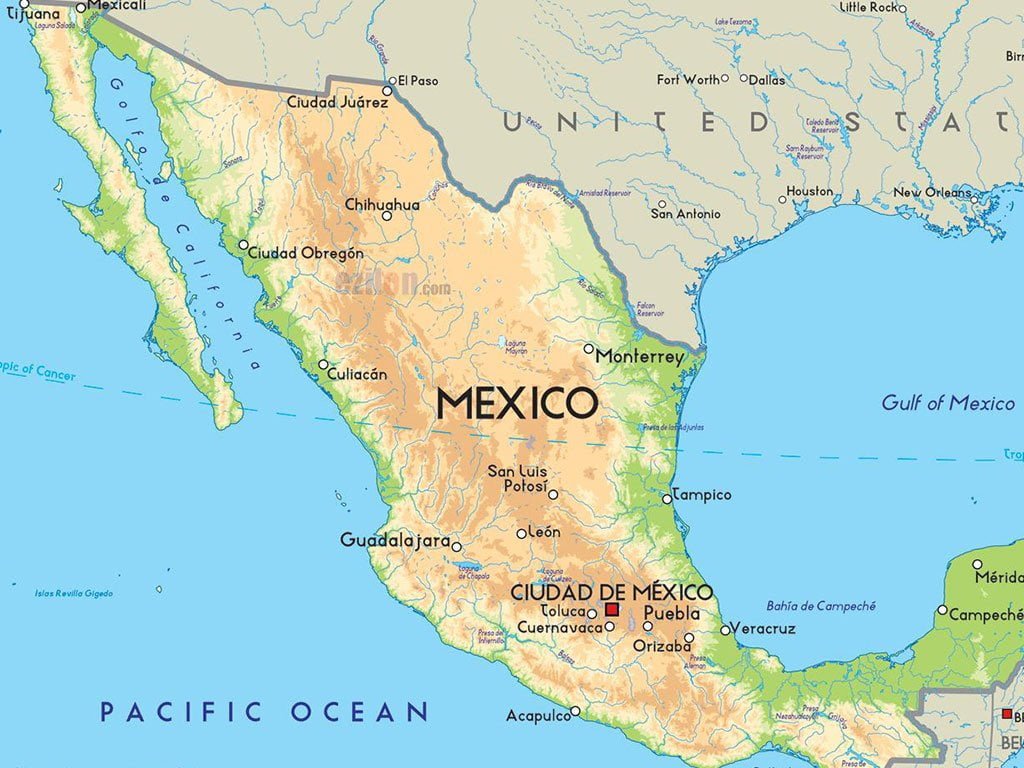 मेक्सिको फुटबल खेलमा बन्दुकधारीको आक्रमण, ११ जनाको मृत्यु