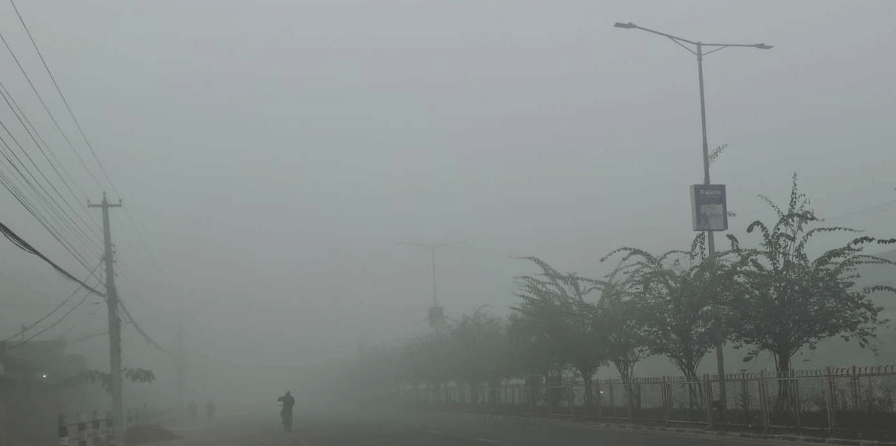 बाक्लो हुस्सु र कुहिरोले पश्चिम तराईको जनजीवन प्रभावित