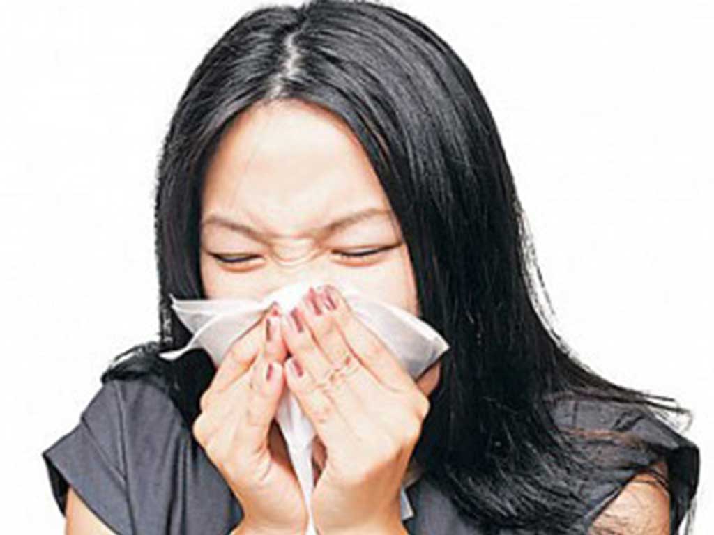 तराई क्षेत्रमा मौसमी फ्लुका बिरामी बढे