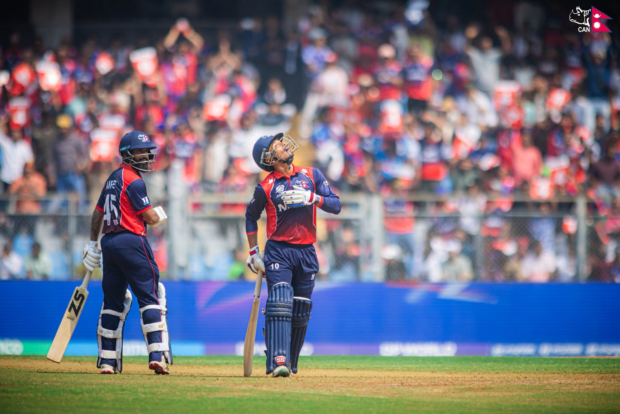 ऐरीको अर्धशतक, नेपालले वेस्ट इन्डिजलाई दियो १३४ रनको लक्ष्य