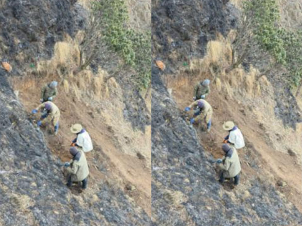 धौलागिरि आइसफल जोड्ने पदमार्ग निर्माण