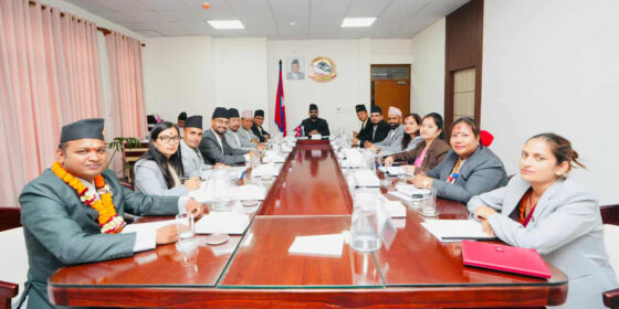 संविधान संशोधनका लागि बहस पत्र तयार गर्न कार्यदल गठन गर्ने सरकारको निर्णय