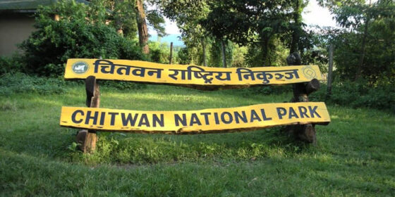हात्ती र गोही प्रजनन् केन्द्रमा निशुल्क प्रवेश