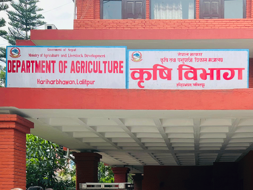 चैते धानको समर्थन मूल्य सिफारिस