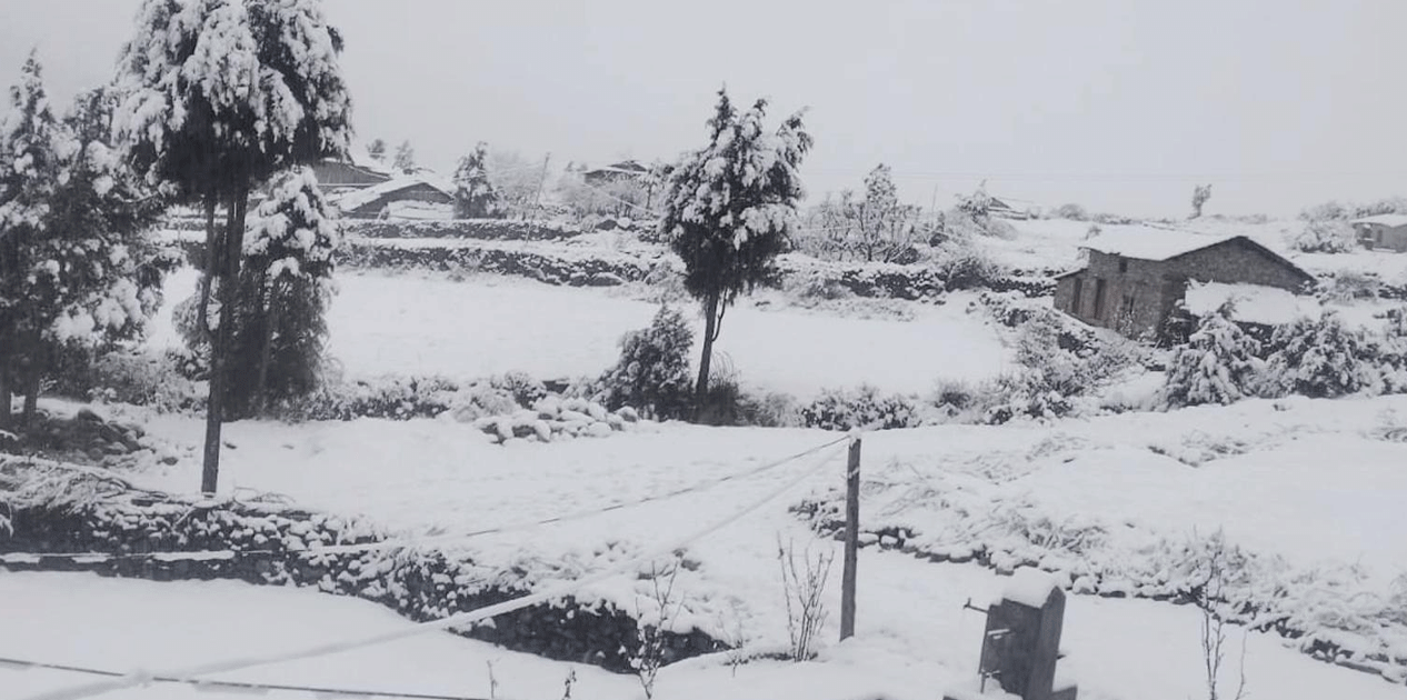 बाजुराको उच्च भेगमा वर्षासँगै हिमपात हुँदा किसान खुसी