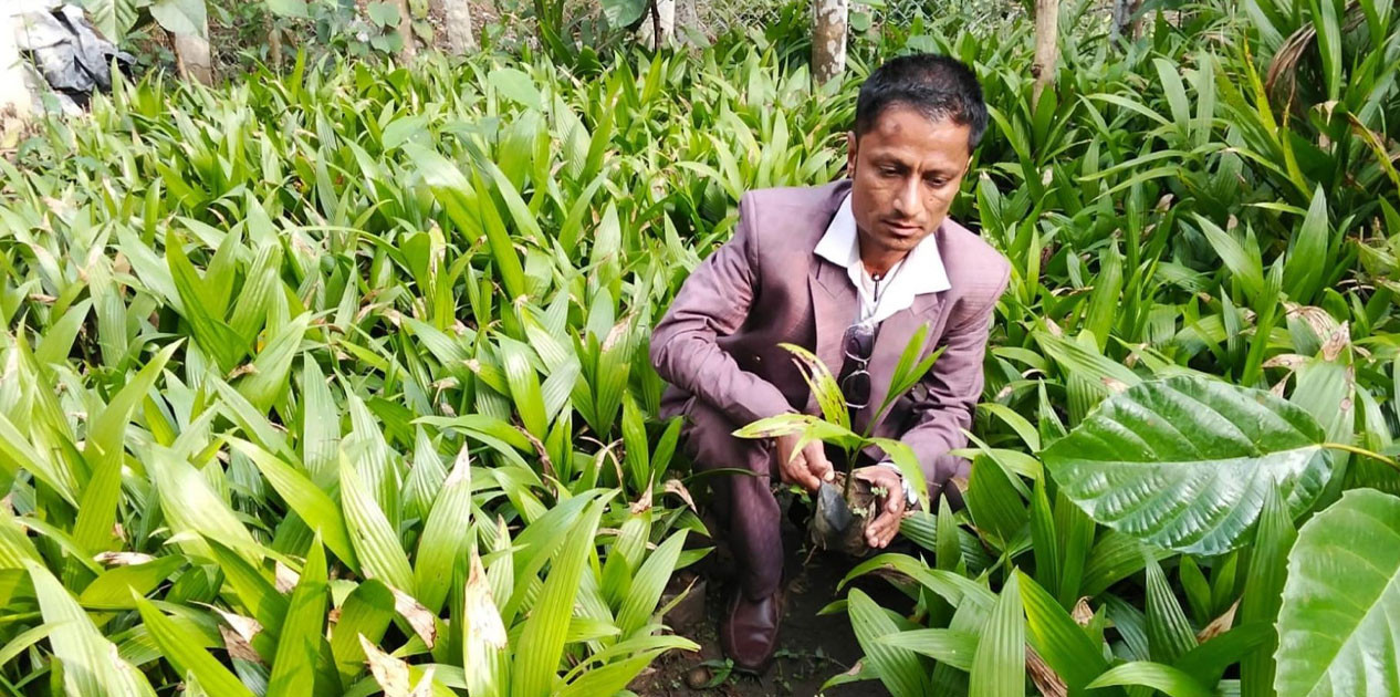 सफलताका कथा :  जीवनको तस्बिर बदलेका उद्यमी भीमबहादुर