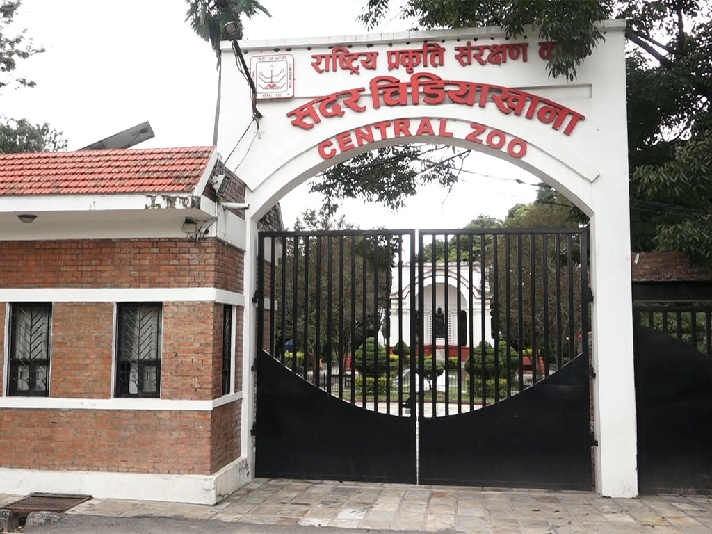 जावलाखेल चिडियाखानामा ११२ प्रजातिका एक हजार २७३ जीवजन्तु