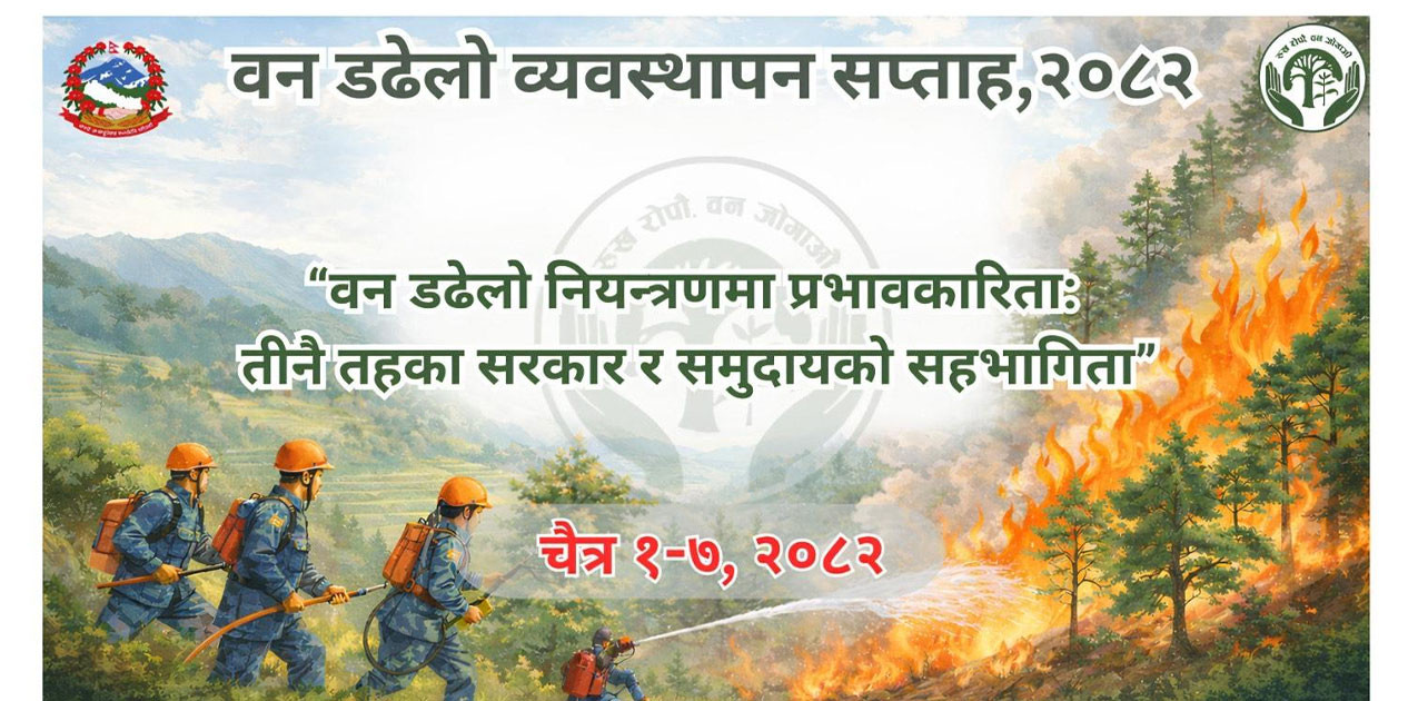 डढेलो व्यवस्थापन सप्ताह आजदेखि सुरु