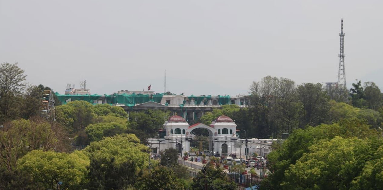 वसन्तको आगमनसँगै काठमाडौँमा छायो हरियाली