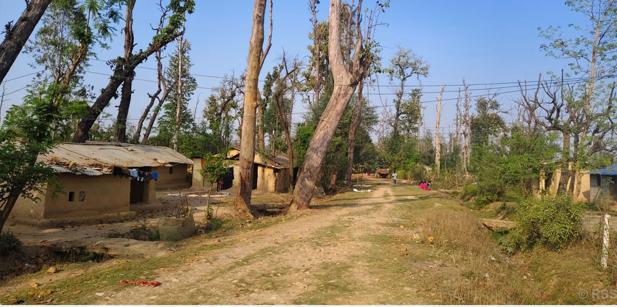 उम्मेदवार माग्छन् मत , मतदाता लालपुर्जा